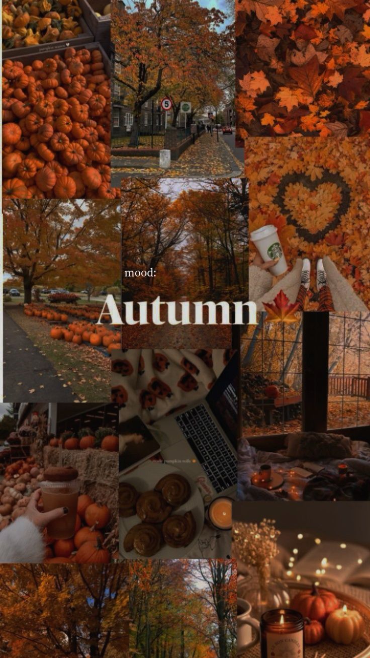 fonds ecran automne : Fonds d'écran ambiance automne pour iPhone
